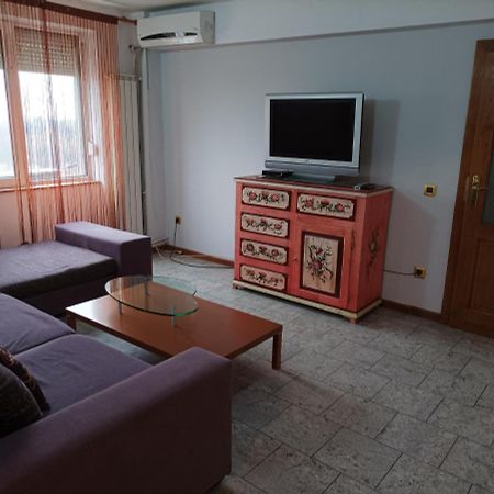 Libelula Apartment Arad Exterior photo